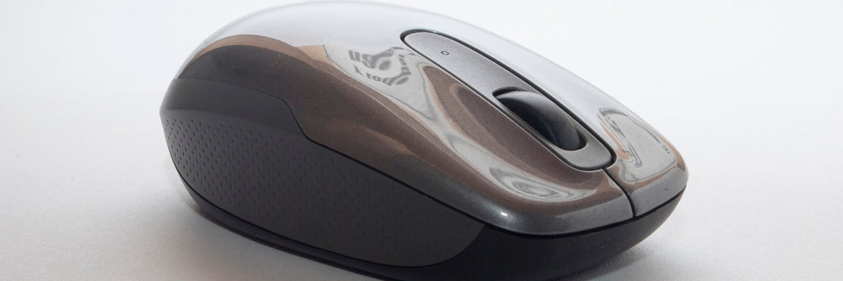 Mouse