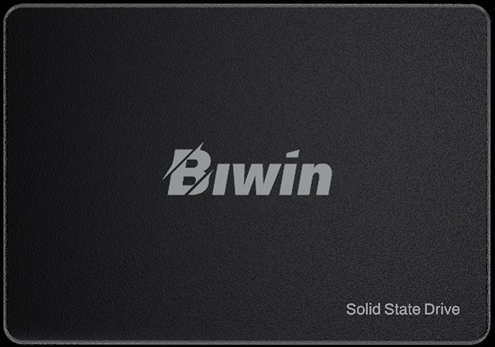 BIWIN M100-256G SSD 2.5 SATA Writing Speed 550MB/s Reading Speed 500MB/s BM100NN256G-RGX - 3 Year Warranty