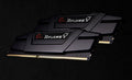 G.SKILL F4-2666C19D-64GVK 64GB (2 x 32GB)/ PC4-21300 / DDR4 2666 Mhz/ Timings 19-19-19-43/ Voltage 1.20V/  Ripjaws V