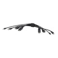Belkin BELKIN Cybersecurity and Secure KVM TAA DUAL (1) HDMI-HDMI (1) DP-DP with USB and Audio Combo  6 ft (1.8M) - Black (F1