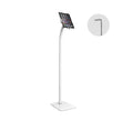 Brateck Brateck Universal Anti-Theft tablet floor stand compatible with most 7.9”-11” Tablets-White 220x300x1238mm Anti-Theft