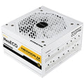 Antec Antec NE 1000w 80+ Gold, Fully-Modular, ATX 3.0, PCIe 5.0, 120mm Silent Fan, Japanese Caps, ATX Power Supply, PSU,10 Ye