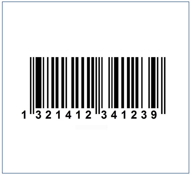 System Serial Number